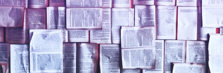 A SHINZ story writing class for children
